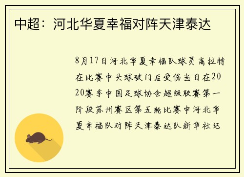 中超:河北华夏幸福对阵天津泰达